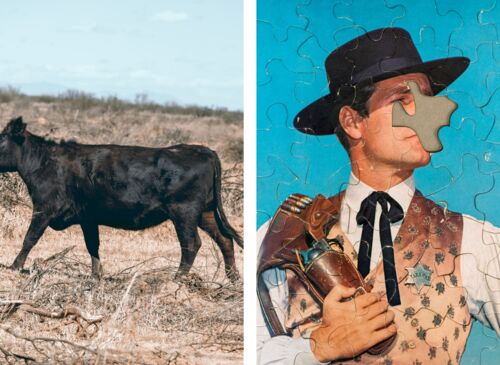 Cow with cropped head & cowboy puzzle from "Cowboys